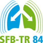 Logo SFB-TR 84